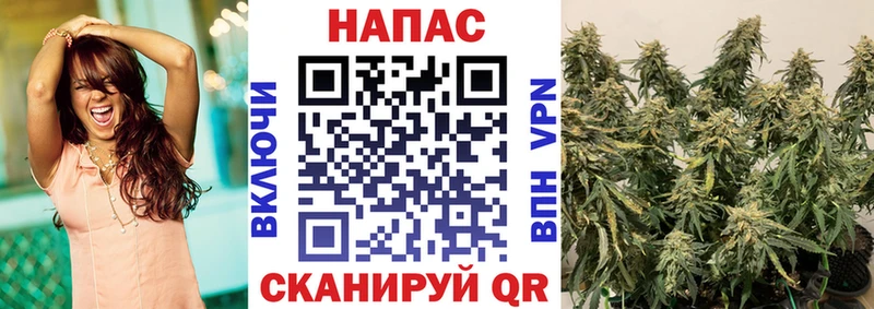 Виды наркоты Шадринск blacksprut сайт  ГАШИШ  COCAIN  АМФ 