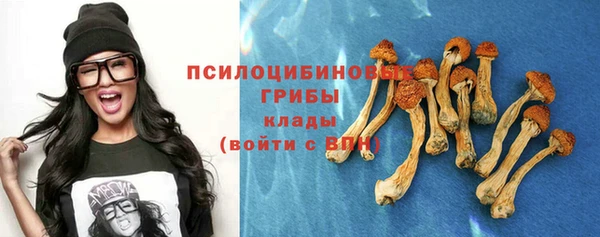 ешки Балахна