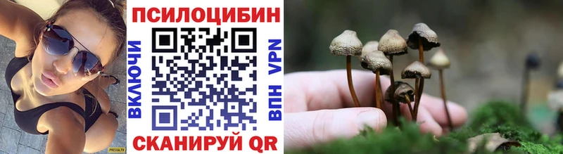 цены наркотик  Шадринск  Галлюциногенные грибы мухоморы 