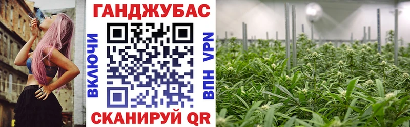 ОМГ ОМГ ссылки  Шадринск  Шишки марихуана план  купить  сайты 